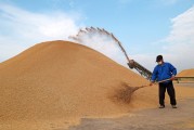 2020卖水稻(农民卖水稻多少钱一斤)