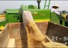 水稻收割机日收多少亩粮食(水稻收割机一小时收割多少亩地)