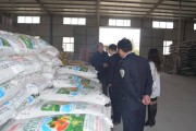 新疆粮食企业政策(2020年新疆粮食补贴最新政策)