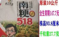 水稻品种9185(水稻品种排名前十的品种有哪些)