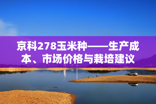 京科278玉米种——生产成本、市场价格与栽培建议