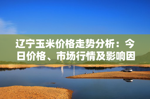 辽宁玉米价格走势分析：今日价格、市场行情及影响因素