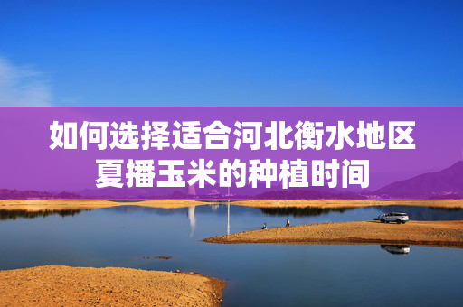 如何选择适合河北衡水地区夏播玉米的种植时间