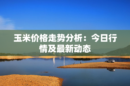 玉米价格走势分析：今日行情及最新动态