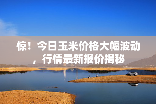 惊！今日玉米价格大幅波动，行情最新报价揭秘