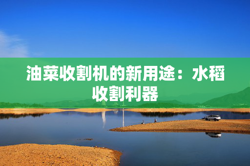 油菜收割机的新用途：水稻收割利器