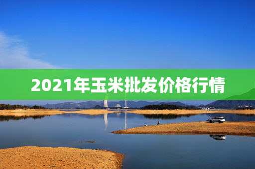 2021年玉米批发价格行情