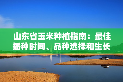 山东省玉米种植指南：最佳播种时间、品种选择和生长技巧