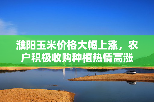 濮阳玉米价格大幅上涨，农户积极收购种植热情高涨