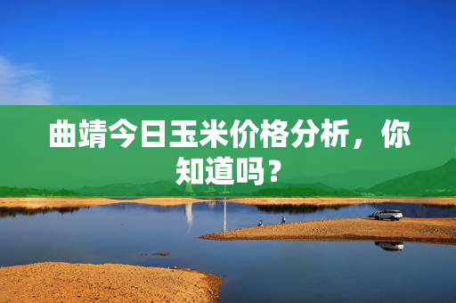 曲靖今日玉米价格分析，你知道吗？