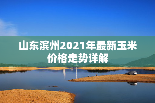 山东滨州2021年最新玉米价格走势详解