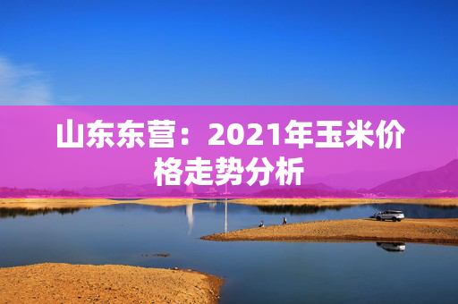 山东东营：2021年玉米价格走势分析