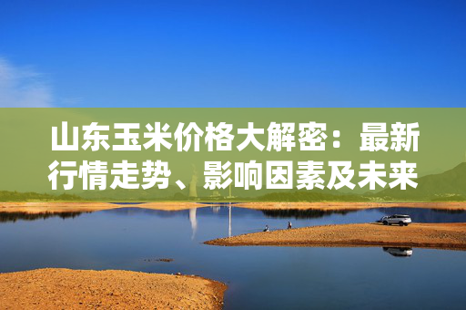 山东玉米价格大解密：最新行情走势、影响因素及未来趋势预测