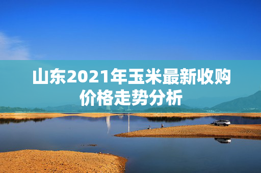 山东2021年玉米最新收购价格走势分析