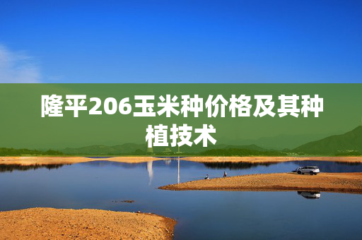 隆平206玉米种价格及其种植技术