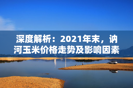 深度解析：2021年末，讷河玉米价格走势及影响因素