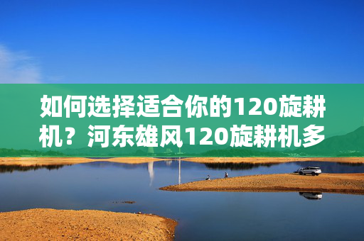 如何选择适合你的120旋耕机？河东雄风120旋耕机多重比较