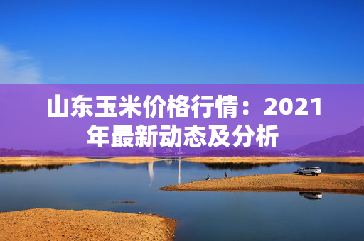 山东玉米价格行情：2021年最新动态及分析