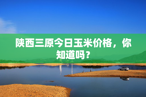 陕西三原今日玉米价格，你知道吗？