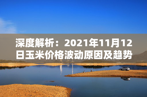 深度解析：2021年11月12日玉米价格波动原因及趋势预测