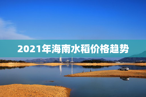 2021年海南水稻价格趋势