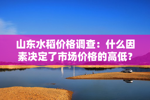 山东水稻价格调查：什么因素决定了市场价格的高低？