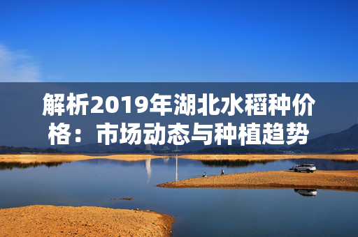 解析2019年湖北水稻种价格：市场动态与种植趋势