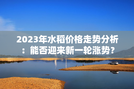 2023年水稻价格走势分析：能否迎来新一轮涨势？