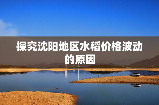 探究沈阳地区水稻价格波动的原因