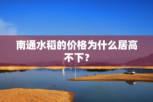 南通水稻的价格为什么居高不下？