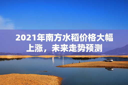 2021年南方水稻价格大幅上涨，未来走势预测