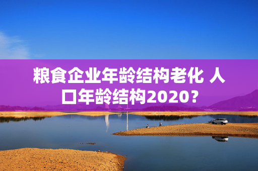 粮食企业年龄结构老化 人口年龄结构2020？