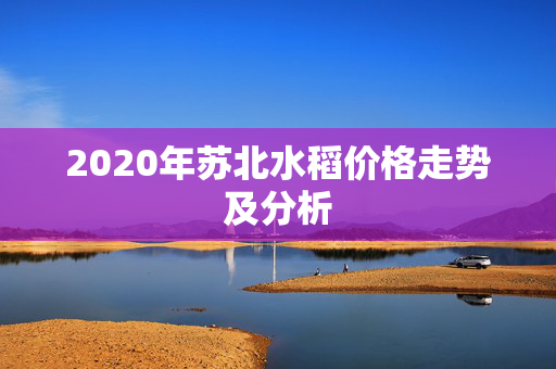 2020年苏北水稻价格走势及分析