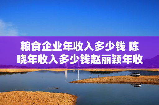 粮食企业年收入多少钱 陈晓年收入多少钱赵丽颖年收入多少？