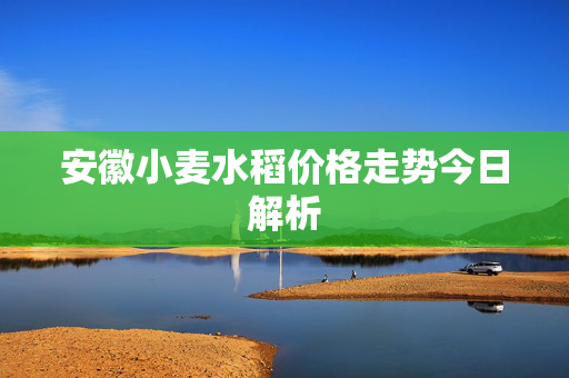 安徽小麦水稻价格走势今日解析