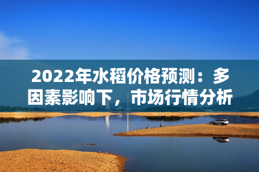 2022年水稻价格预测：多因素影响下，市场行情分析