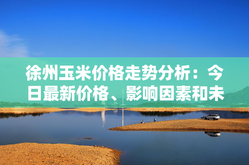 徐州玉米价格走势分析：今日最新价格、影响因素和未来趋势预测