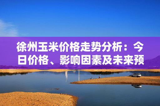 徐州玉米价格走势分析：今日价格、影响因素及未来预测