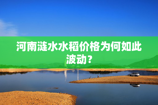 河南涟水水稻价格为何如此波动？