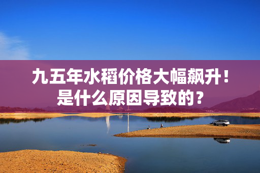 九五年水稻价格大幅飙升！是什么原因导致的？