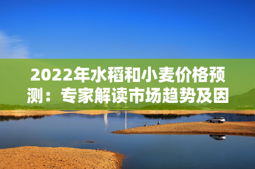 2022年水稻和小麦价格预测：专家解读市场趋势及因素