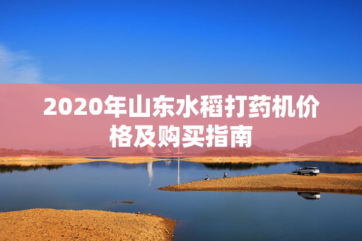 2020年山东水稻打药机价格及购买指南