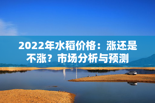 2022年水稻价格：涨还是不涨？市场分析与预测