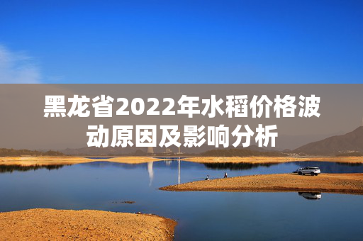 黑龙省2022年水稻价格波动原因及影响分析