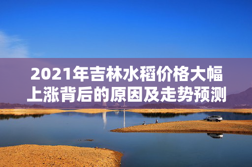 2021年吉林水稻价格大幅上涨背后的原因及走势预测