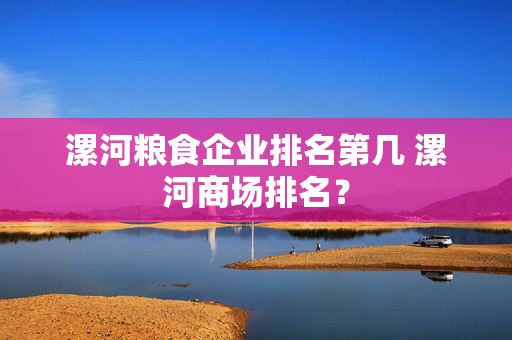 漯河粮食企业排名第几 漯河商场排名？