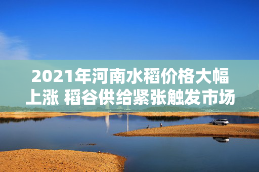 2021年河南水稻价格大幅上涨 稻谷供给紧张触发市场热潮