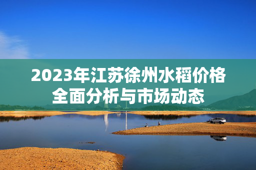 2023年江苏徐州水稻价格全面分析与市场动态