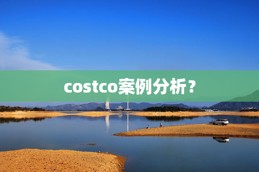 costco案例分析？