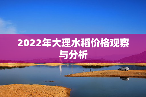 2022年大理水稻价格观察与分析